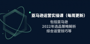 亚马逊运营实操课：亚马逊最新选品策略解析，综合运营技巧等-欢迎访问本站